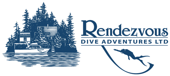 Rendezvous Dive Adventures